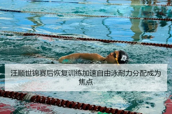 汪顺世锦赛后恢复训练加速自由泳耐力分配成为焦点